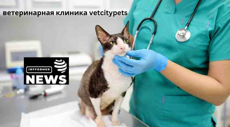 Ветеринарная клиника VetCityPets