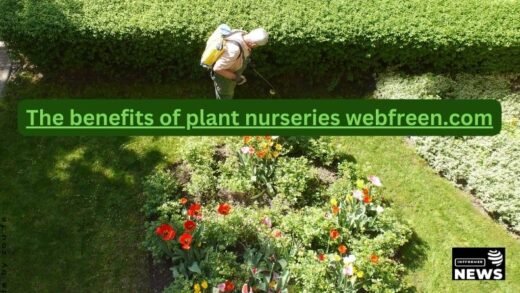 the benefits of plant nurseries webfreen.com