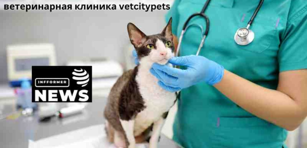 ветеринарная клиника vetcitypets