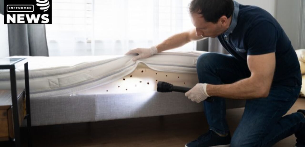 Quickly Take Your Bed Back With Bed Bug Exterminators