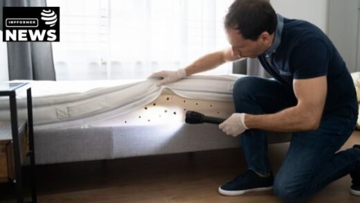 Quickly Take Your Bed Back With Bed Bug Exterminators