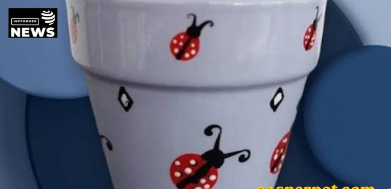 casperpot com