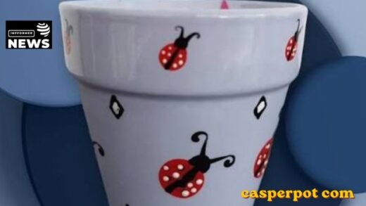 casperpot com