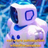 software automation wbsoftwarement